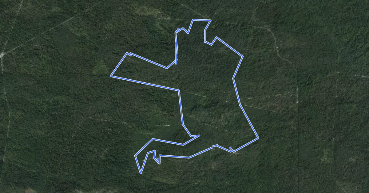 Маршрут Sentier Denecourt-Colinet 17 на спутниковом снимке