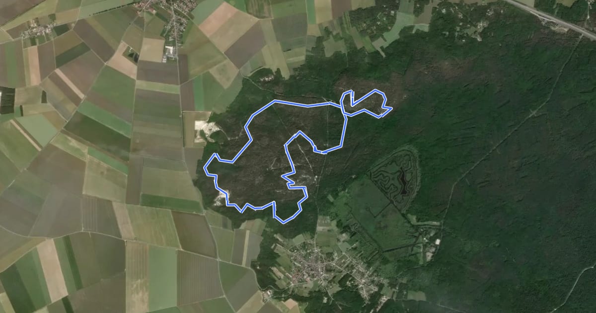 Маршрут Sentier Denecourt-Colinet 19 на спутниковом снимке