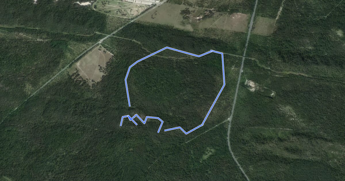Маршрут Sentier Denecourt-Colinet 9 Ouest на спутниковом снимке