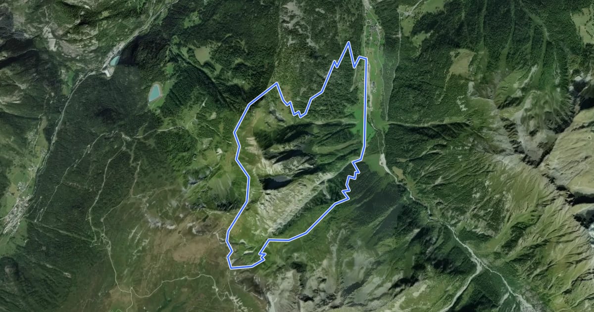 Маршрут Sentier des Alpages на спутниковом снимке