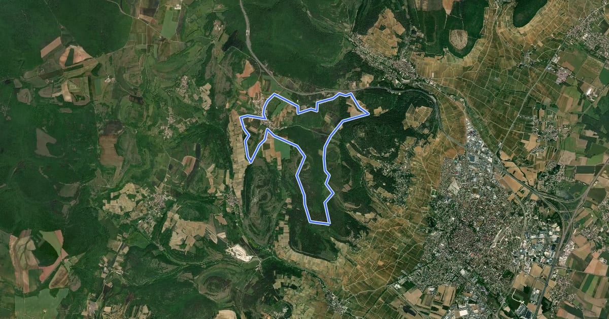 Маршрут Sentier des Biques на спутниковом снимке