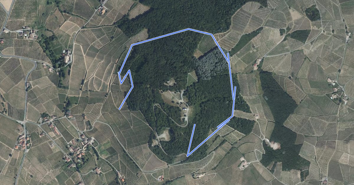 Маршрут Sentier des Bois на спутниковом снимке