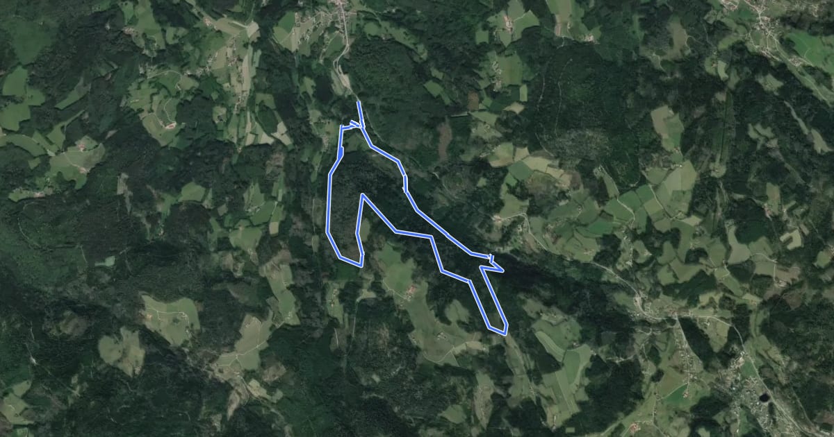 Маршрут Sentier des Cascades на спутниковом снимке