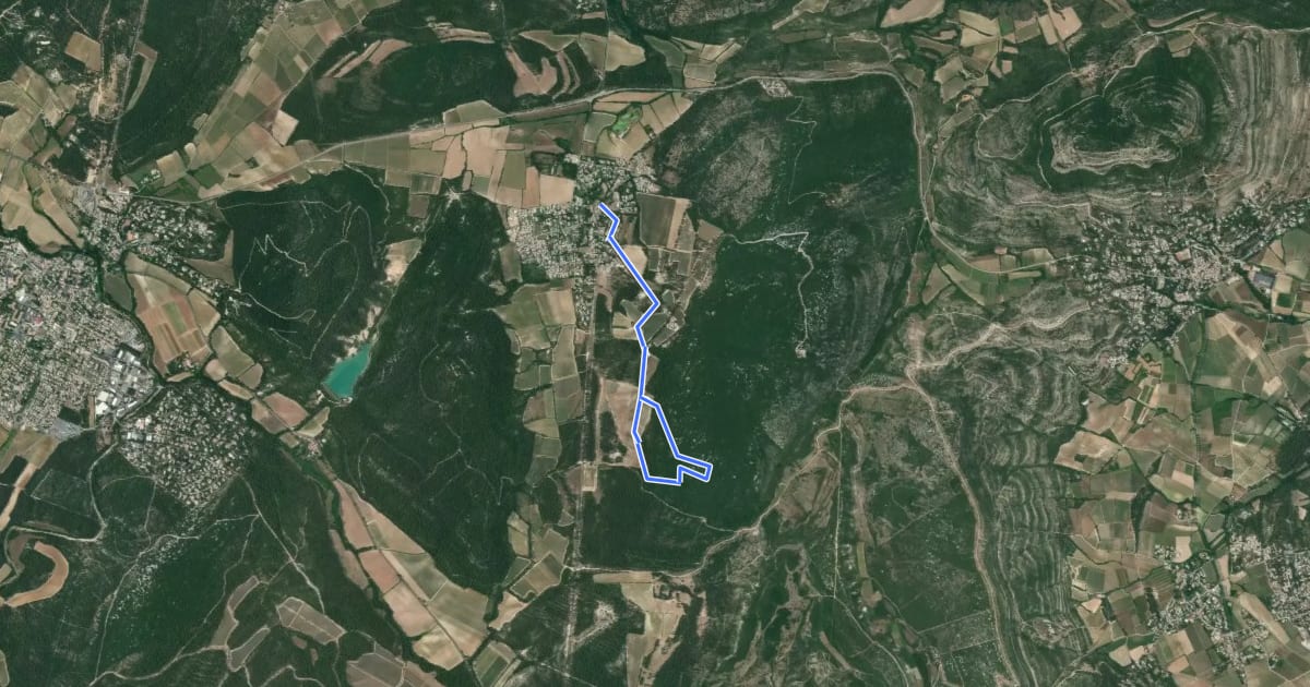Маршрут Sentier des Charbonniers на спутниковом снимке