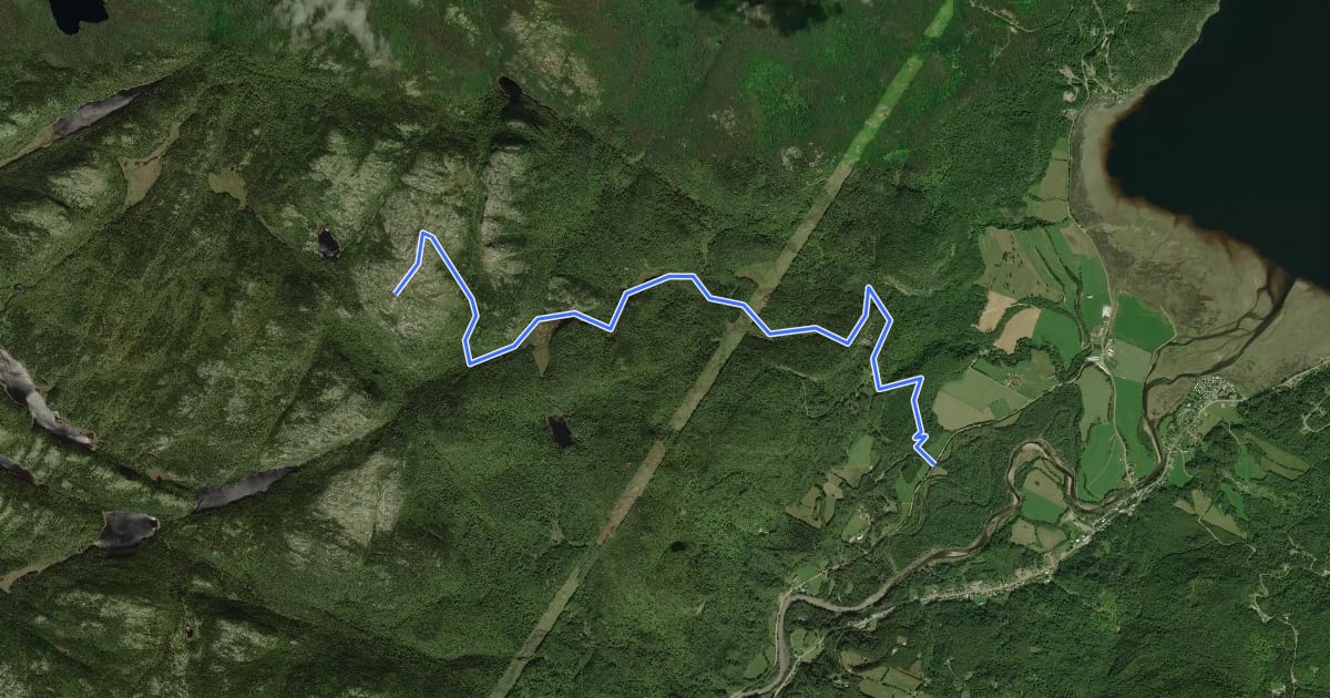 Маршрут Sentier des Chutes на спутниковом снимке