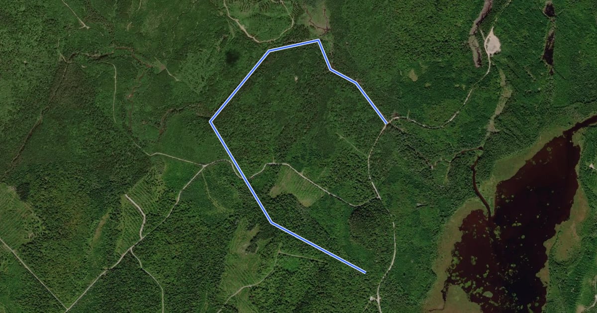 Маршрут Sentier des Chutes du ruisseau des Cèdres на спутниковом снимке