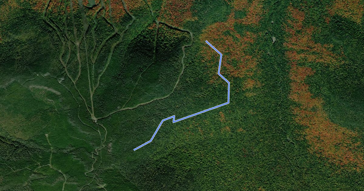 Маршрут Sentier des Dryades на спутниковом снимке