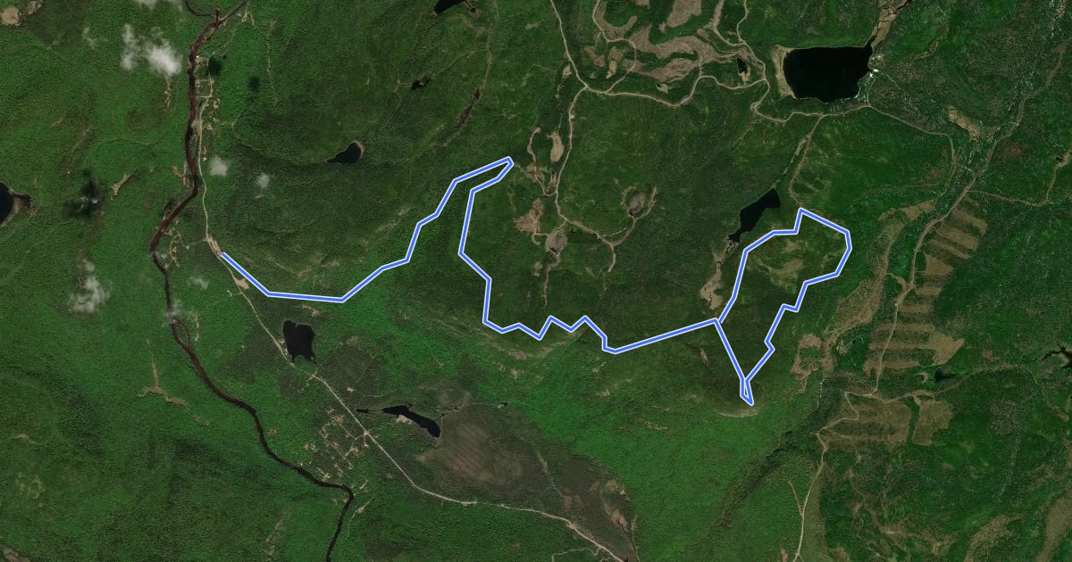 Маршрут Sentier des Falaises на спутниковом снимке