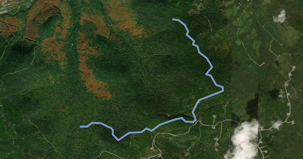 Маршрут Sentier des Géants на спутниковом снимке