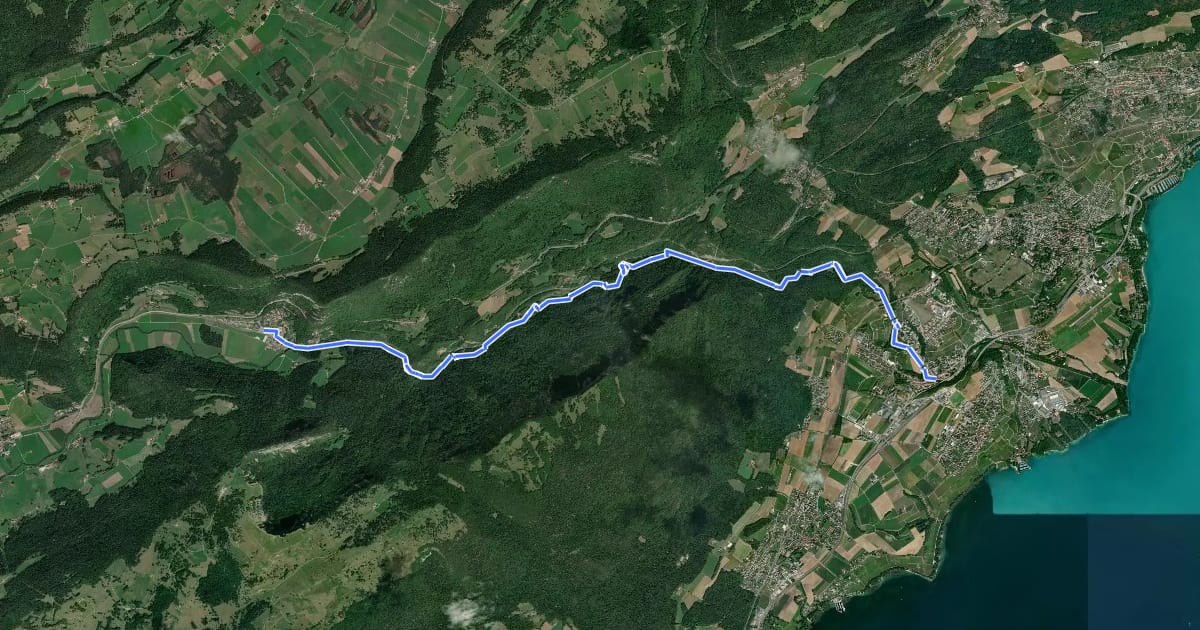 Маршрут Sentier des Gorges de l'Areuse на спутниковом снимке