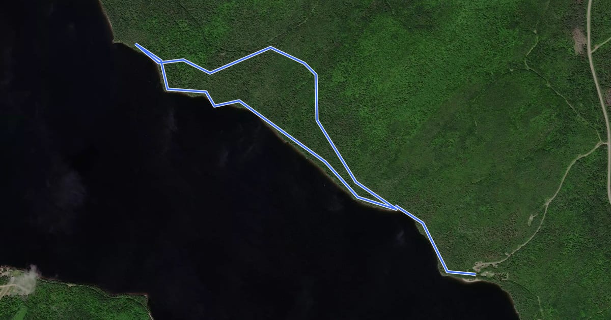Маршрут Sentier des Grands-Pins на спутниковом снимке