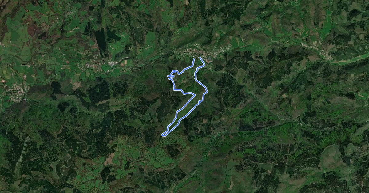 Маршрут Sentier des Maîtres Verriers на спутниковом снимке