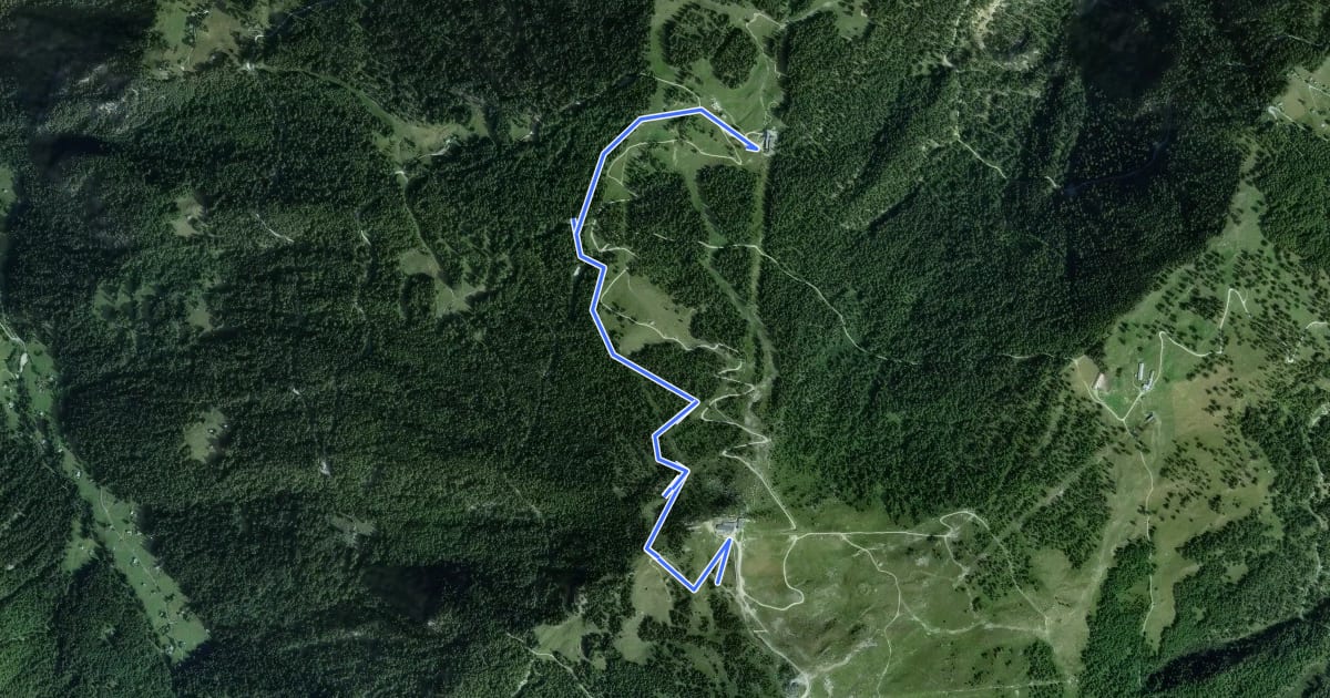 Маршрут Sentier des Marmottes на спутниковом снимке