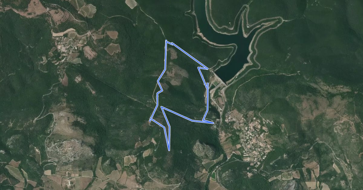 Маршрут Sentier des Olivettes на спутниковом снимке
