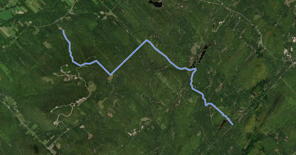 Маршрут Sentier des Orignaux на спутниковом снимке