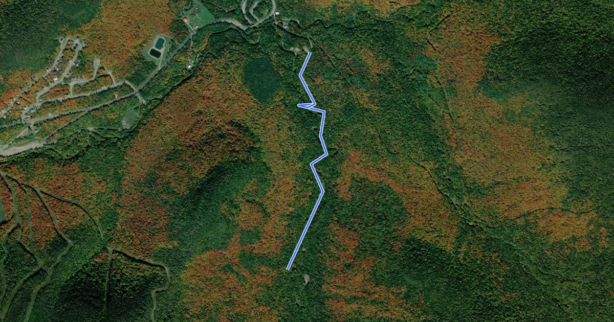 Маршрут Sentier des Passerelles на спутниковом снимке