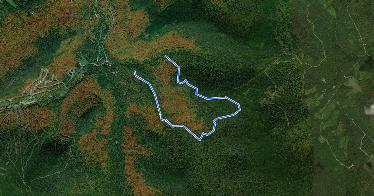 Маршрут Sentier des Ravages на спутниковом снимке