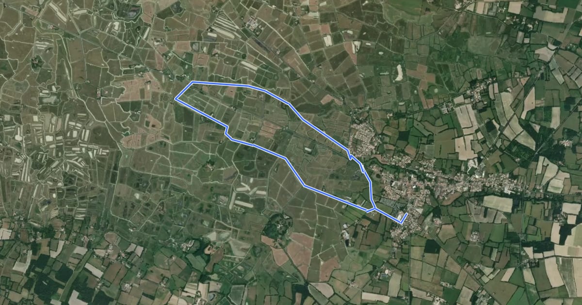 Маршрут Sentier des Roseaux на спутниковом снимке