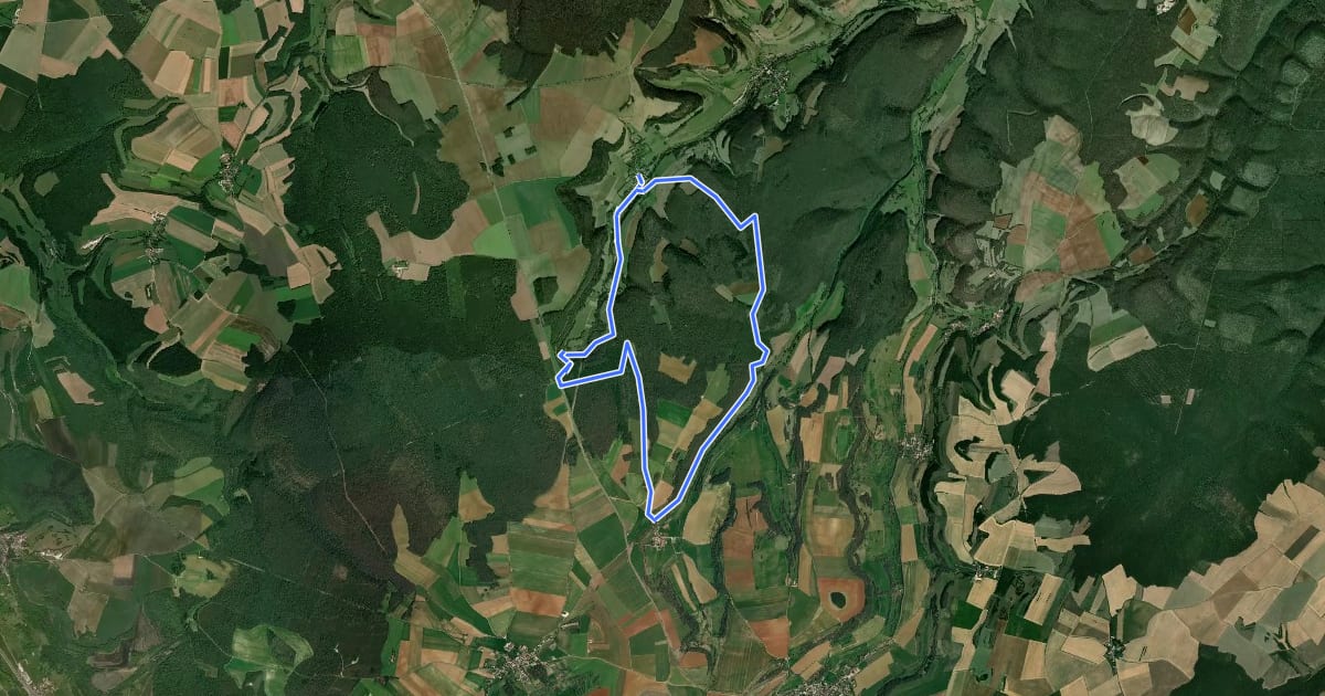 Маршрут Sentier des Source de l'Ignon на спутниковом снимке