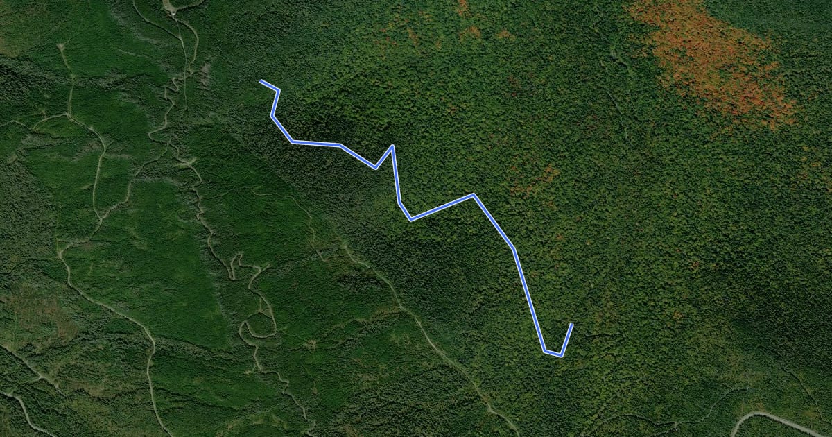 Маршрут Sentier des Sources на спутниковом снимке