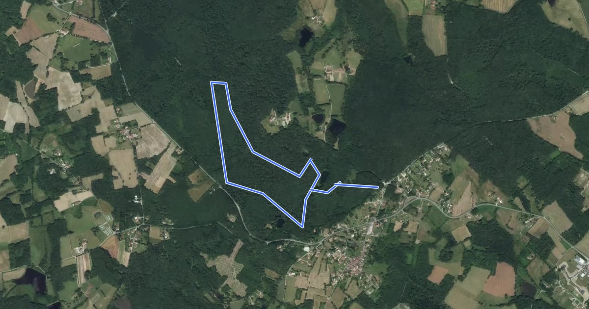 Маршрут Sentier des Étangs на спутниковом снимке