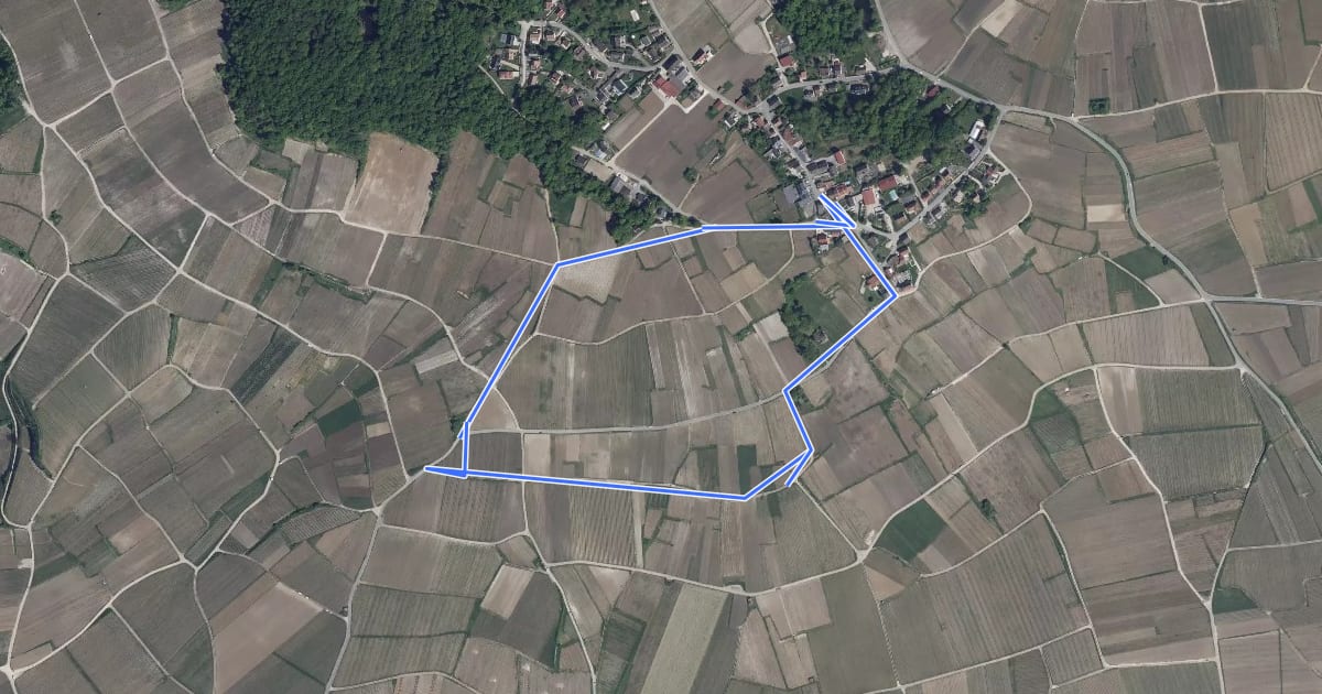 Маршрут Sentier des Vignerons на спутниковом снимке