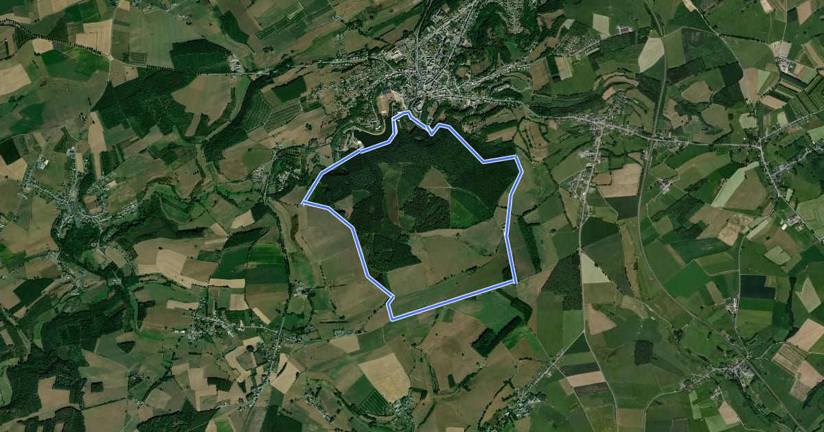 Маршрут Sentier du Bois d'Ospau на спутниковом снимке