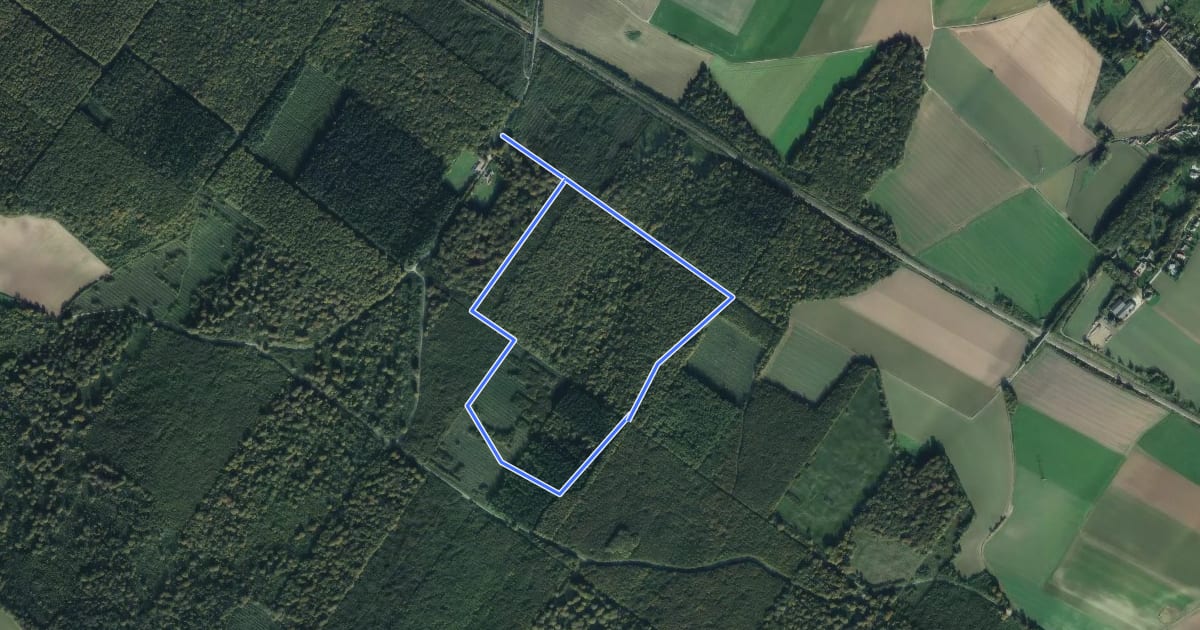 Маршрут Sentier du Bois de Ballon на спутниковом снимке