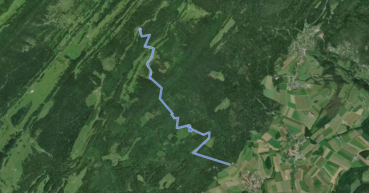 Маршрут Sentier du Coq на спутниковом снимке
