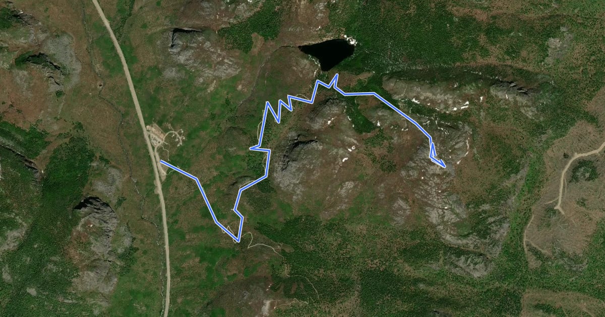 Маршрут Sentier du Lac des Cygnes на спутниковом снимке