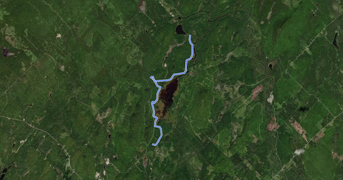 Маршрут Sentier du Lac Talon на спутниковом снимке