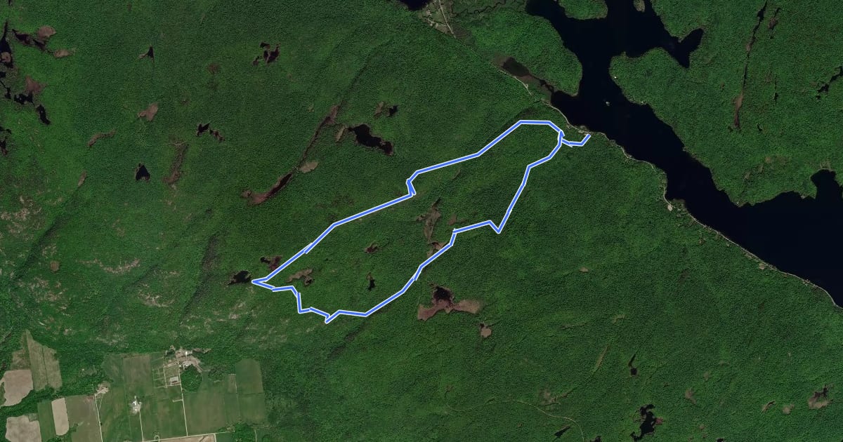 Маршрут Sentier du loup на спутниковом снимке