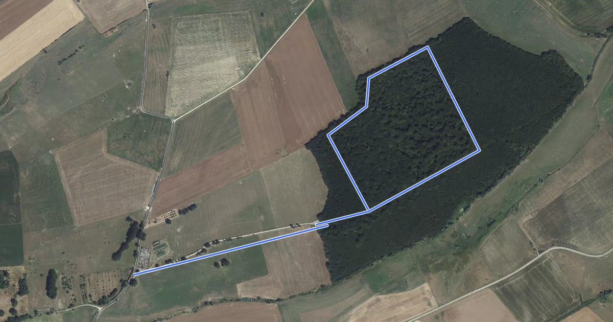Маршрут Sentier du Menu Bois на спутниковом снимке