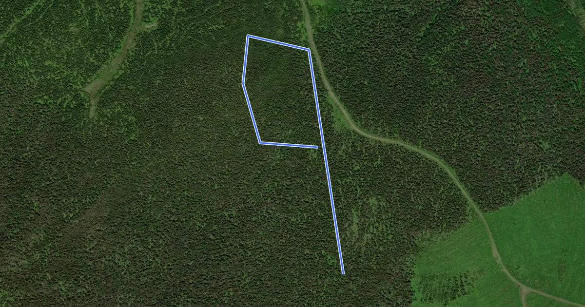 Маршрут Sentier du mont de l'Ouest на спутниковом снимке