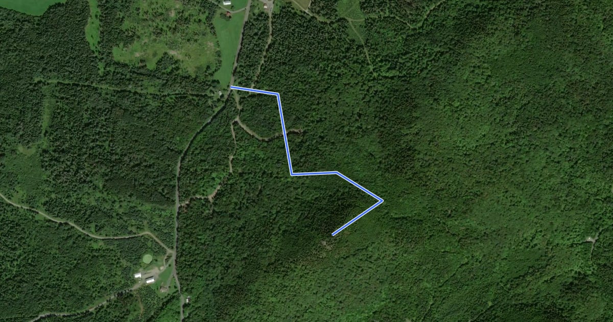 Маршрут Sentier du Pèlerin на спутниковом снимке