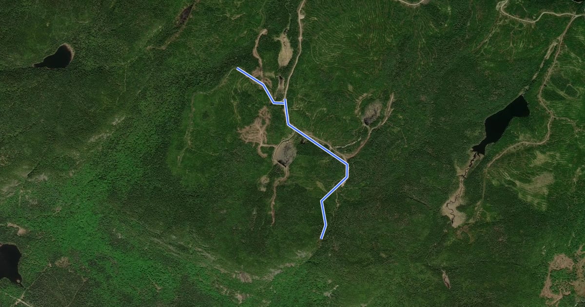 Маршрут Sentier du Petit Bûcher на спутниковом снимке