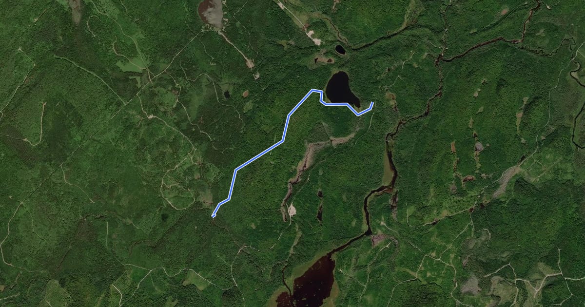 Маршрут Sentier du Petit lac des Vases на спутниковом снимке