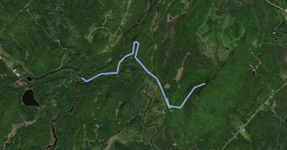 Маршрут Sentier du Pont-Brûlé на спутниковом снимке