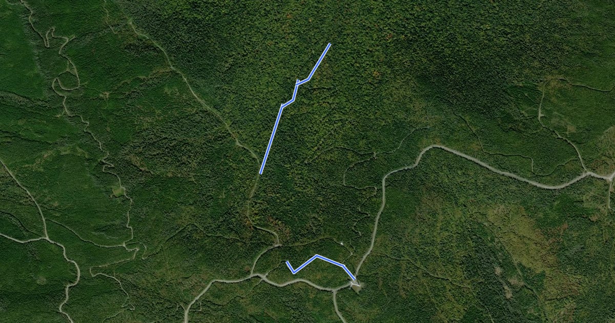 Маршрут Sentier du Versant Sud на спутниковом снимке