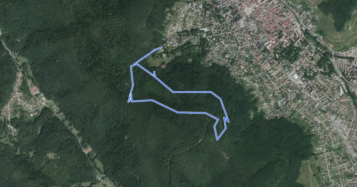 Маршрут Sentier forestier de l'Axwald на спутниковом снимке