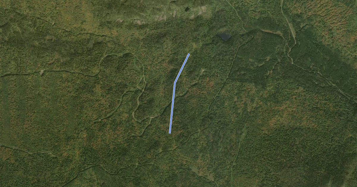 Маршрут Sentier Frontalier 3 на спутниковом снимке