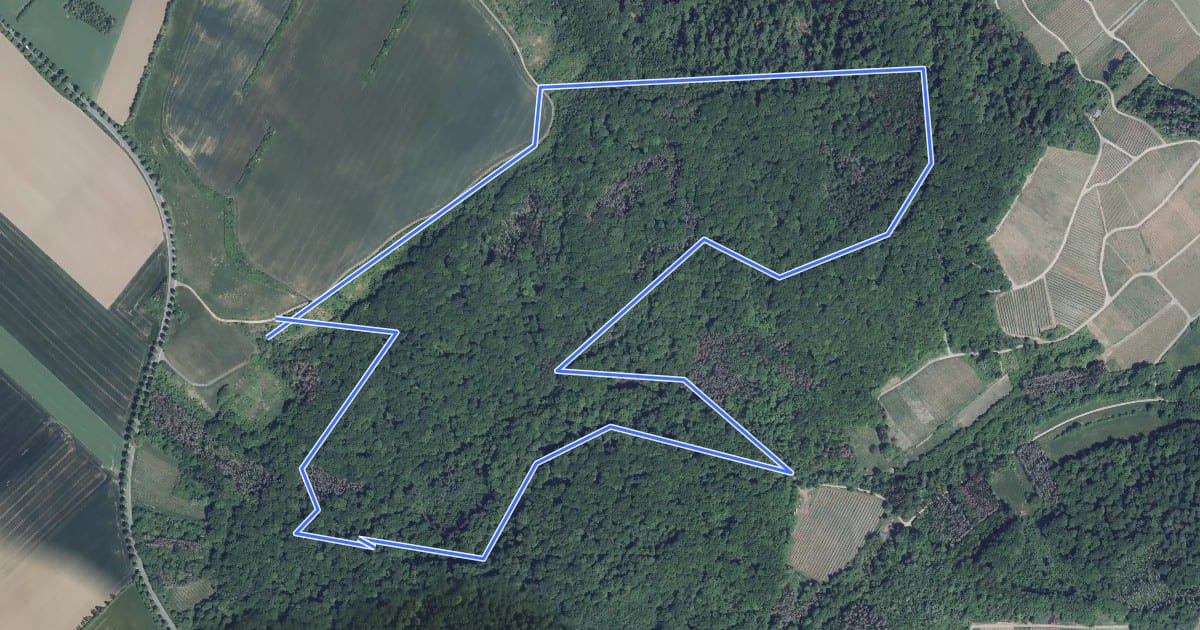 Маршрут Sentier Grouf на спутниковом снимке