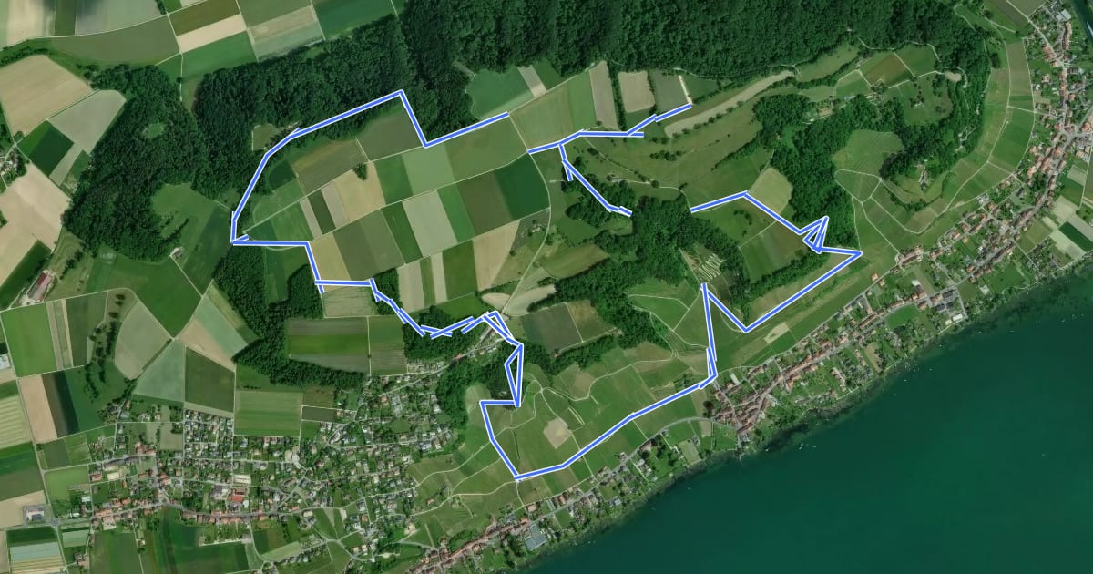 Маршрут Sentier Historique du Vully на спутниковом снимке