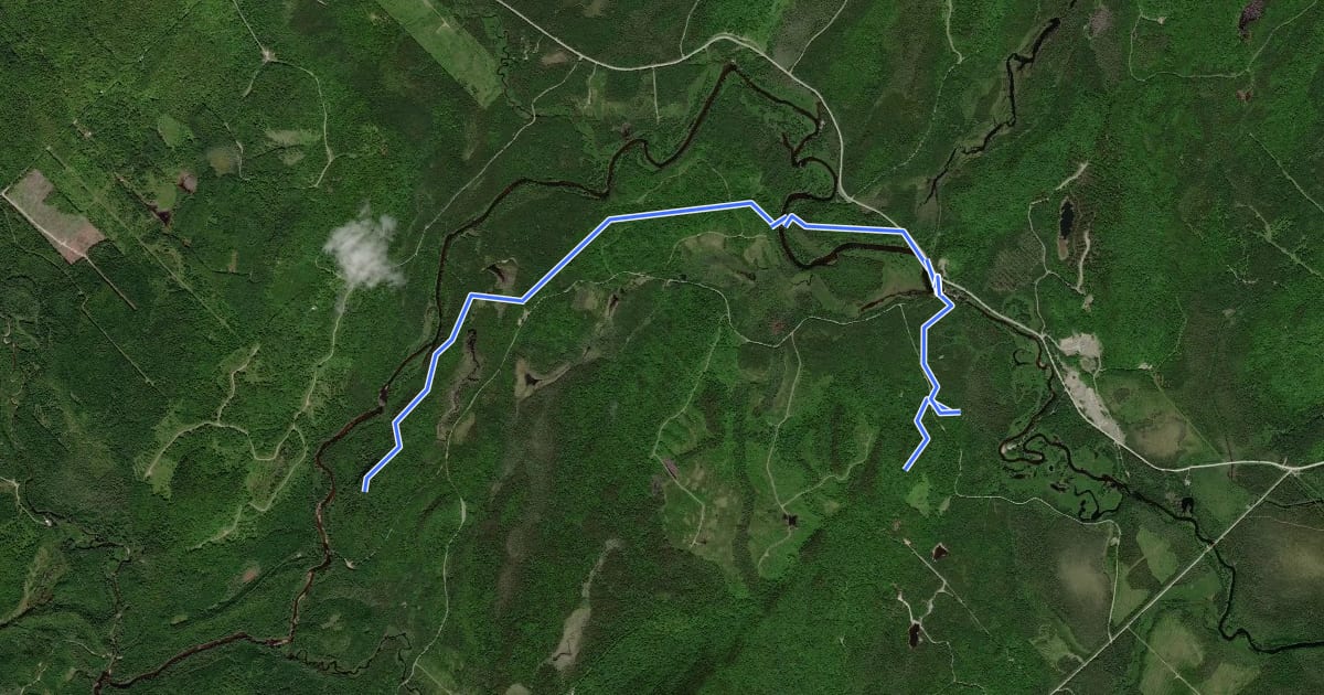 Маршрут Sentier les Castors на спутниковом снимке