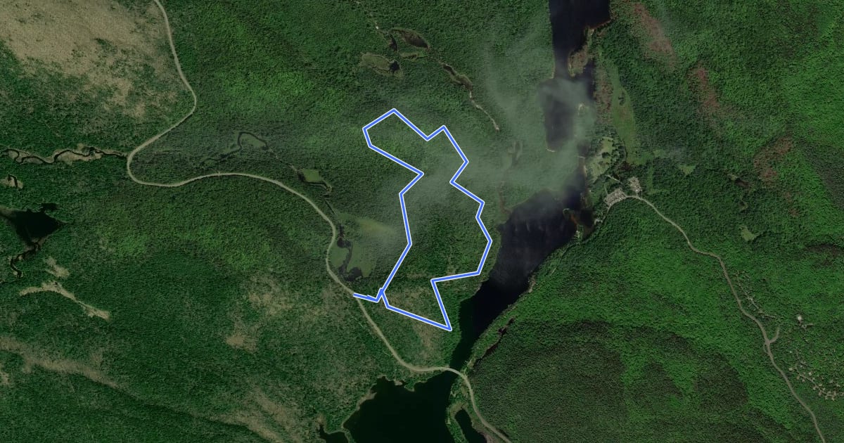 Маршрут Sentier Les Falaises на спутниковом снимке