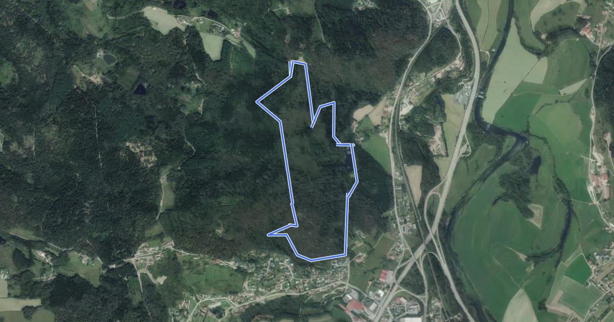 Маршрут Sentier "Montiroche" на спутниковом снимке