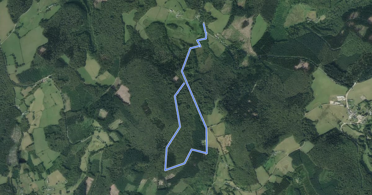 Маршрут Sentier nature des Sources de l'Yonne на спутниковом снимке