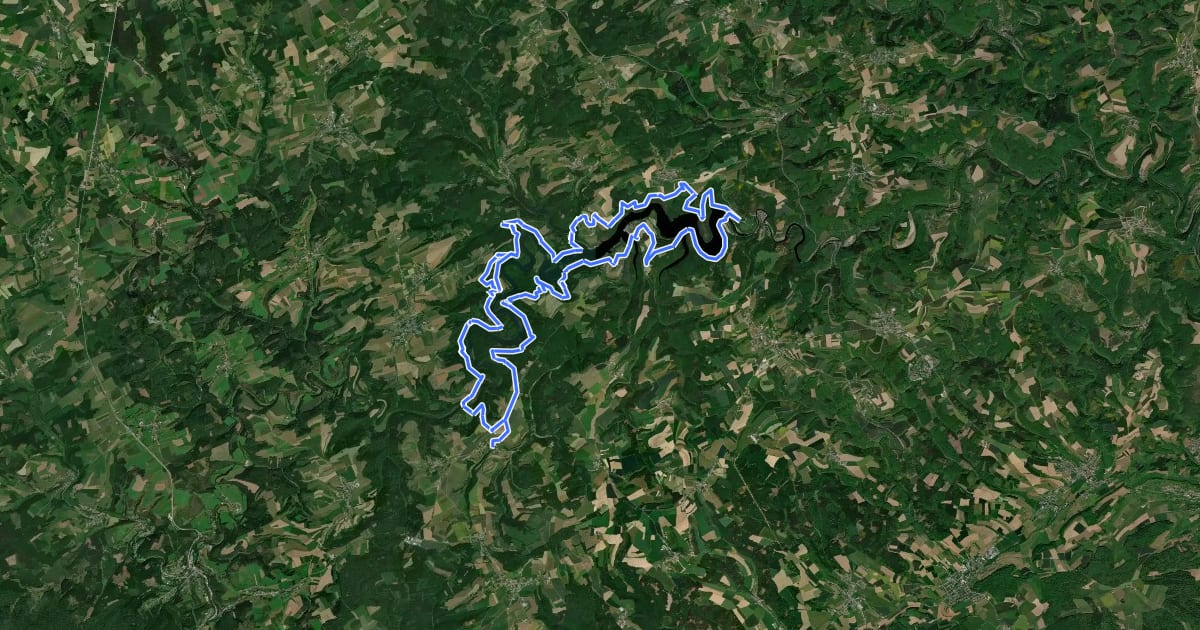 Маршрут Sentier pédestre du lac de la Haute-Sûre на спутниковом снимке