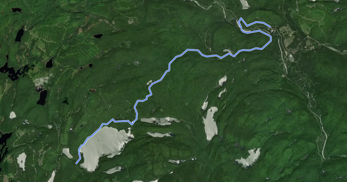 Маршрут Sentier Saint-Bernard на спутниковом снимке