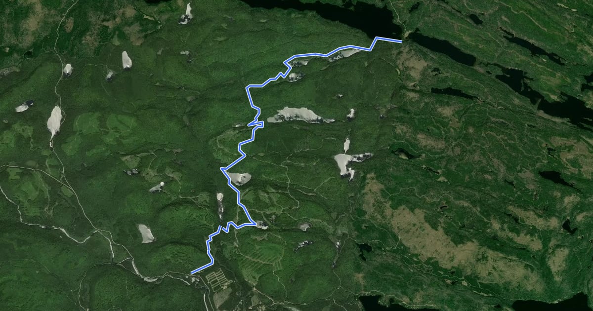 Маршрут Sentier Vianney-Guillemette на спутниковом снимке